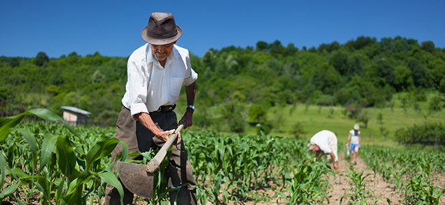Radicado proyecto de ley para alivios financieros al agro en Colombia