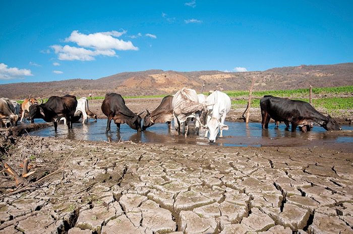 Colombia, Venezuela, Perú, Chile y Brasil tendrán déficit de lluvias hasta marzo