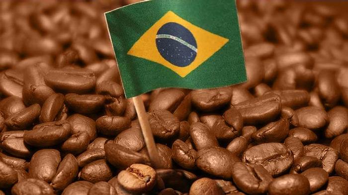 Aumentaron exportaciones de café de Brasil en octubre