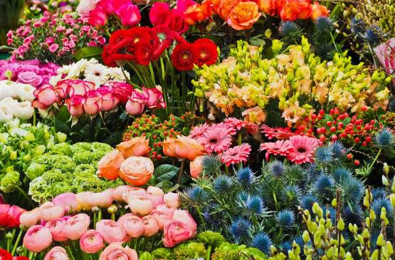 Exportación de flores colombianas para San Valentín crecerá 1,42% en 2019