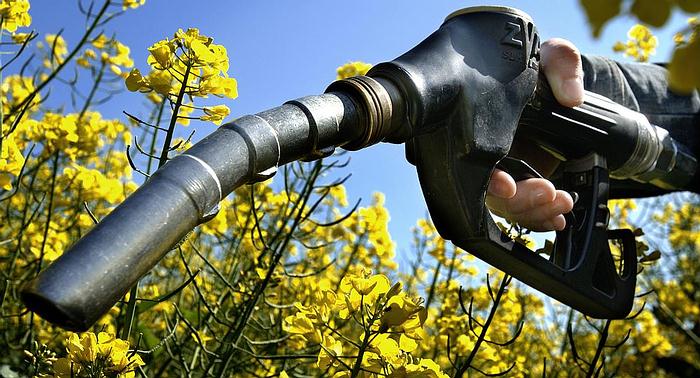 Transportadores e industria automotriz solicitaron al Gobierno “una política justa de biocombustibles”