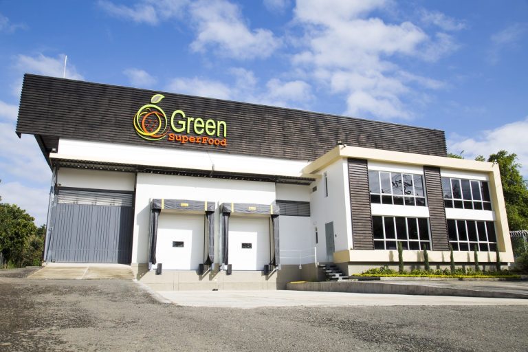 Green SuperFood abre una de las plantas más tecnificadas para exportación de aguacate hass en Colombia