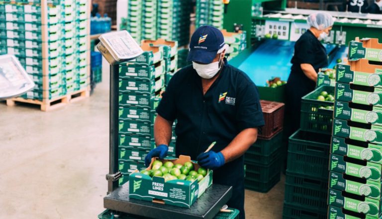 Grupo israelí Managro adquiere 100% de Pacific Fruits, líder colombiano en aguacate hass