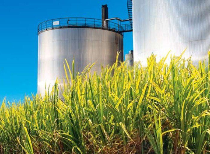Bioenergy está en la mira de tres grandes empresas que quieren comprarla