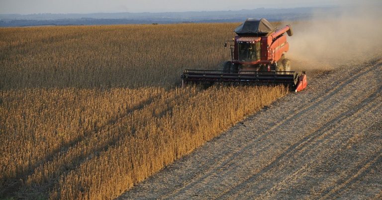 Brasil suspende aranceles sobre importaciones de maíz y soya hasta 2021