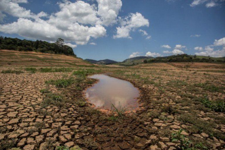Caficultores de Brasil ya pronostican pérdidas por sequía en cosecha 2021