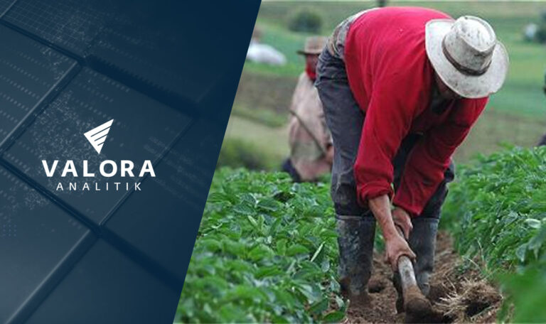 Avanza la #Papatón en Bogotá para ayudar a productores del campo