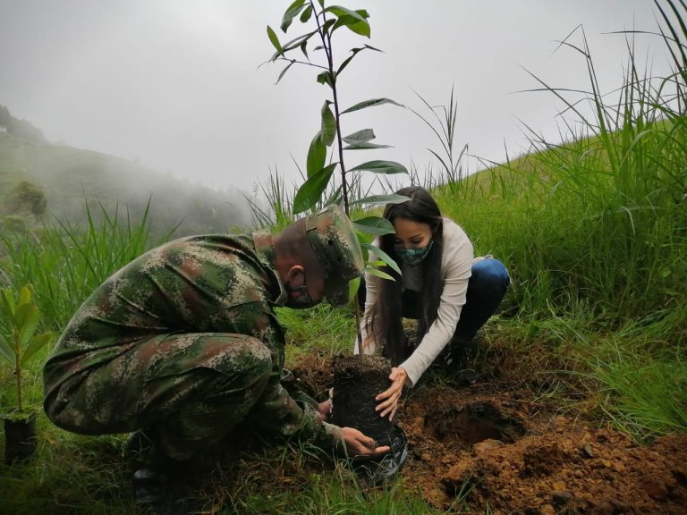 Corantioquia lanzó la campaña “Cada uno, un árbol»: Se busca sembrar tres millones