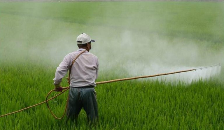 A $5 mil millones ascienden sanciones por el mal manejo de sustancias químicas en Colombia