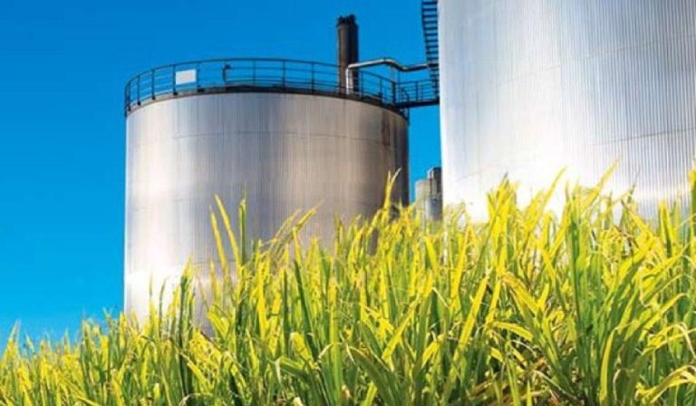 Nueve empresas están interesadas en adquirir a Bioenergy en Colombia