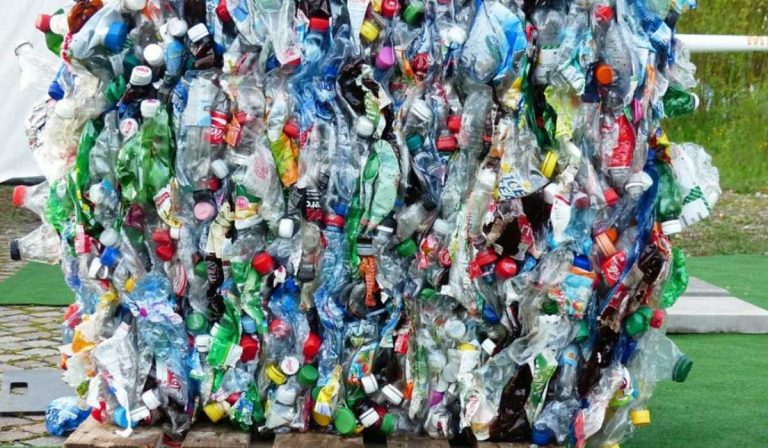 “Colombia recicla el 4 % de lo que se produce en plásticos”: Ecobot