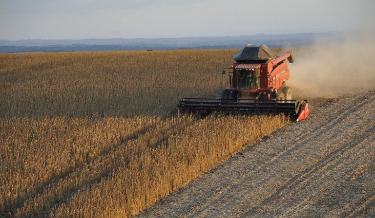 Brasil espera aumentar cosecha agrícola 3,5 % en 2021