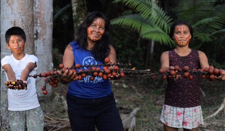 Superfrutos de Amazonas llegan a las principales ciudades de Colombia