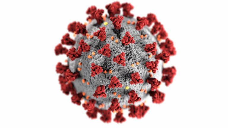 Variante Delta del coronavirus ¿qué sabemos en Colombia?