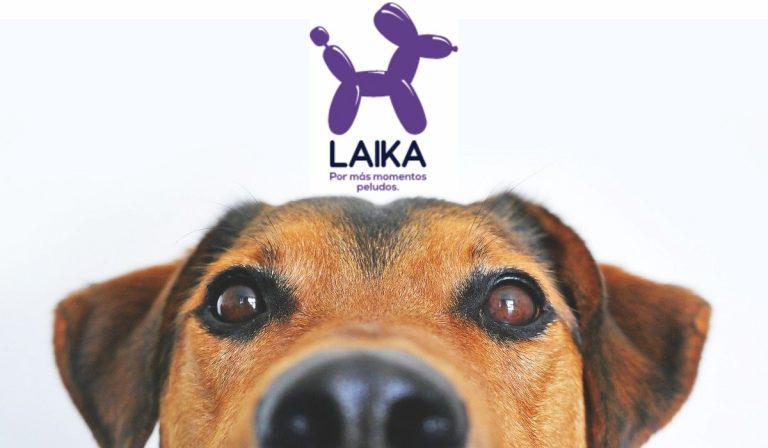 Cofundador de Tinder, Justin Mateen, entra a invertir en Laika