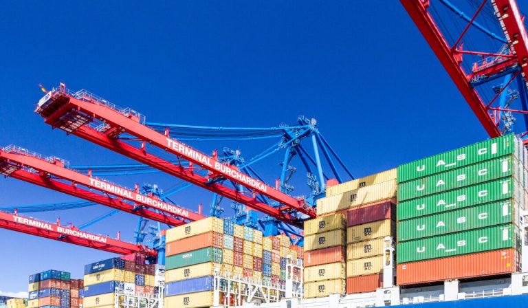 OMC: Comercio mundial del 2021 crecería 10,8 %; ¿Cómo avanza la crisis de contenedores?