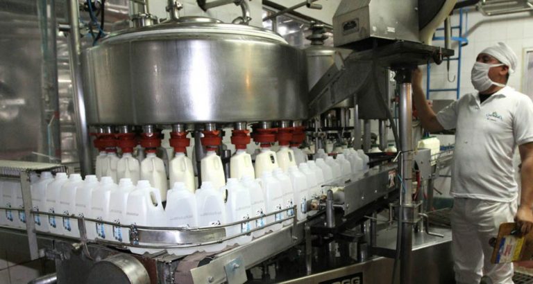 Subió valor pagado a ganaderos productores de leche en Colombia