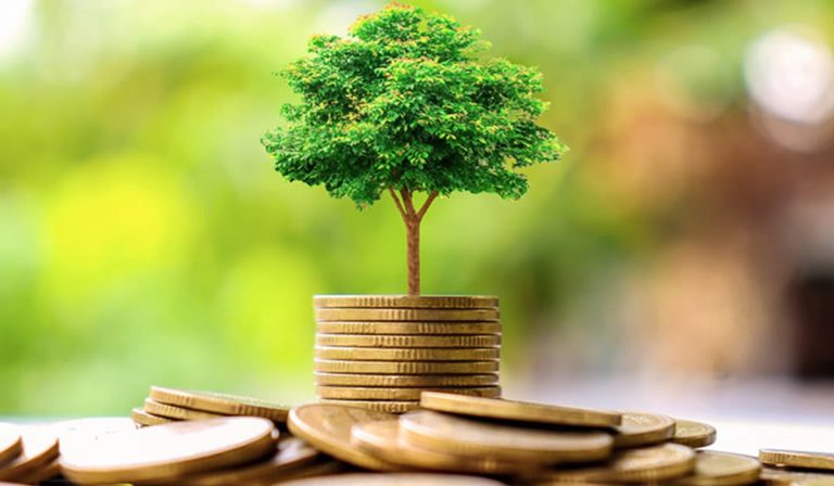 Invertir en bonos verdes: 5 consejos para tener en cuenta