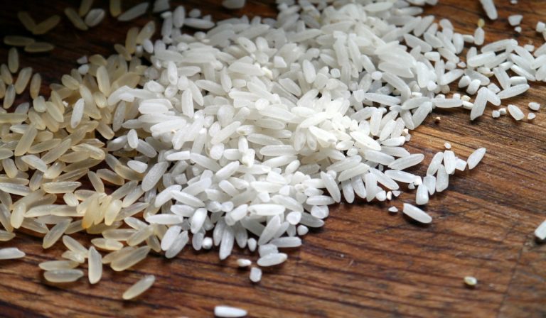 Confirmada exportación de arroz colombiano a Estados Unidos