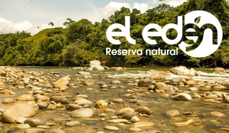 Reserva Natural El Edén, un santuario de flora y fauna en Cocorná, Antioquia