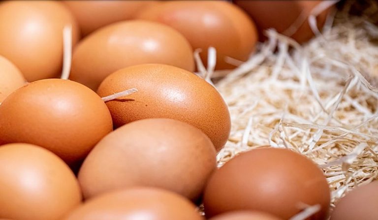 Precio del huevo en Colombia: ¿por qué ha caído en las últimas semanas?