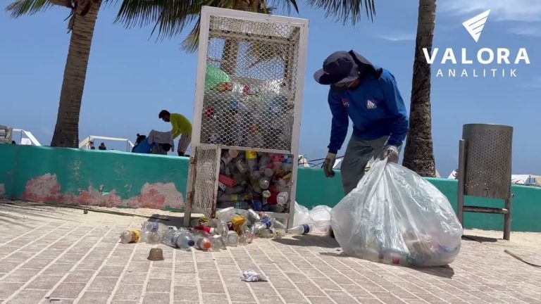 Reciclave ha aumentado en un 82% la recolección de materiales aprovechables en San Andrés y Providencia
