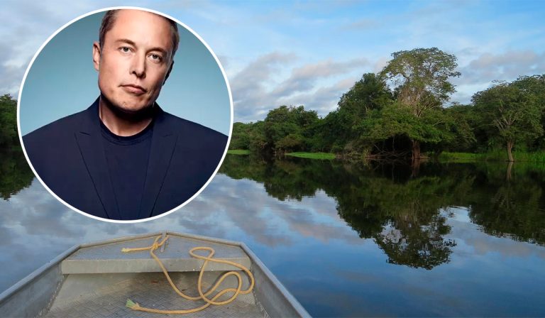 Elon Musk lanza programa para conectar y monitorear la Amazonía en Brasil
