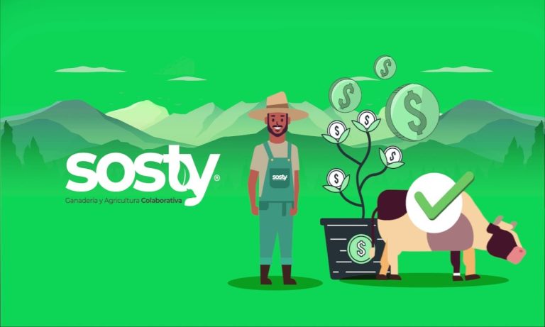 Sosty, startup de inversión para ganadería sostenible en Colombia