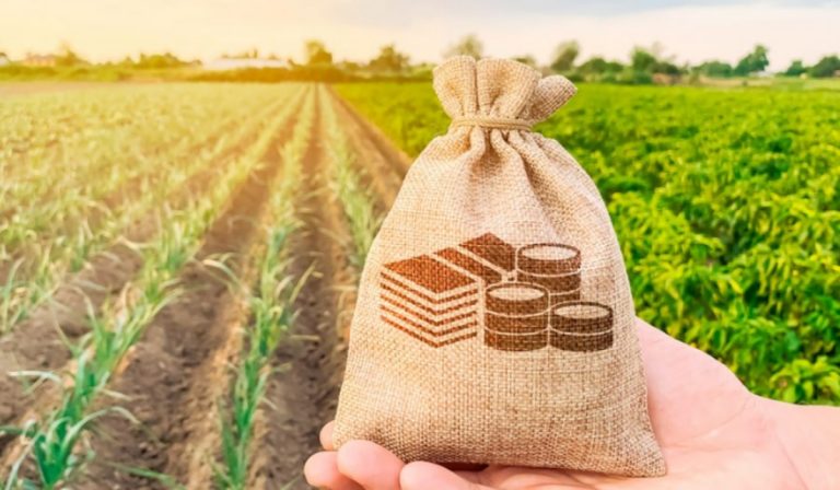 Empresa suiza FairCapital estima desembolsar US$4 millones en el agro colombiano
