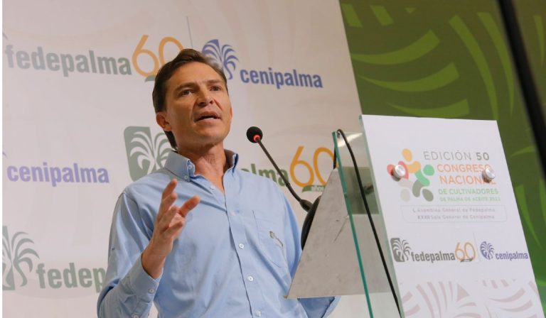 Las propuestas de Fedepalma al próximo gobierno de Colombia