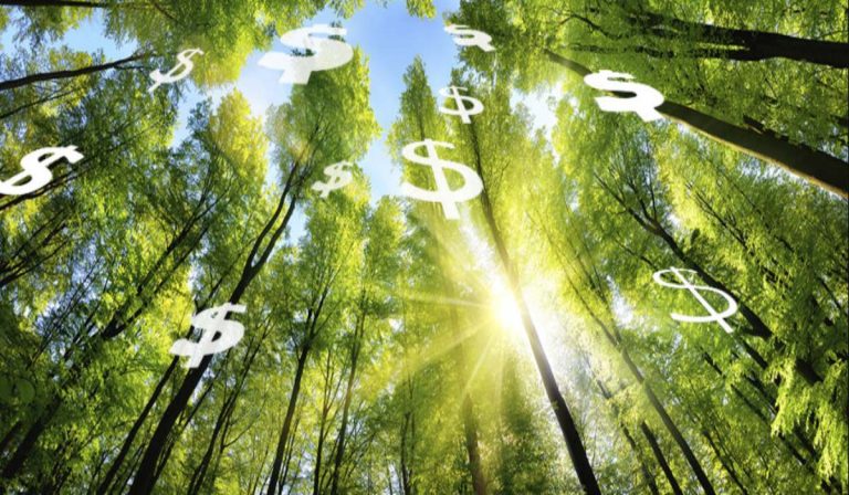 Colombia subastó TES verdes 2031 por $500.000 millones
