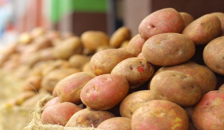 Estos fueron los alimentos que más redujeron sus precios en Colombia durante mayo