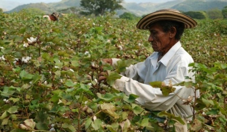 En junio, el Índice de Precios al Productor en Colombia rompió tendencia alcista