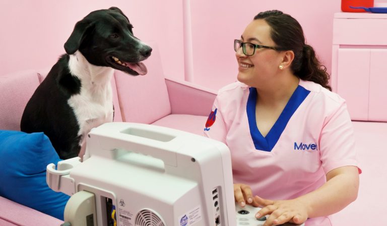 Movet integra su atención virtual con apertura de clínicas veterinarias en el país