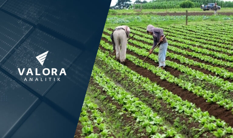 Aprueban 20 proyectos del agro en Colombia con inversión de $23.000 millones