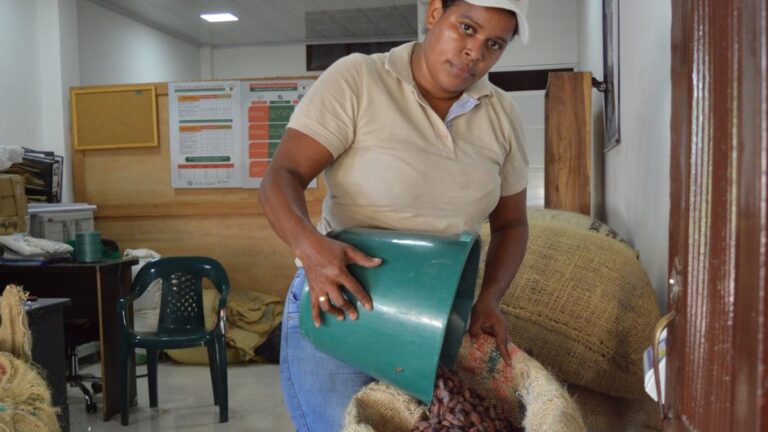1.600 familias beneficiadas por Agroemprende Cacao en Magdalena Medio