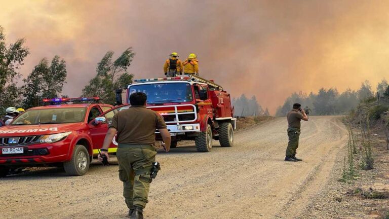 Incendios en Chile: estado de excepción y 13 muertos