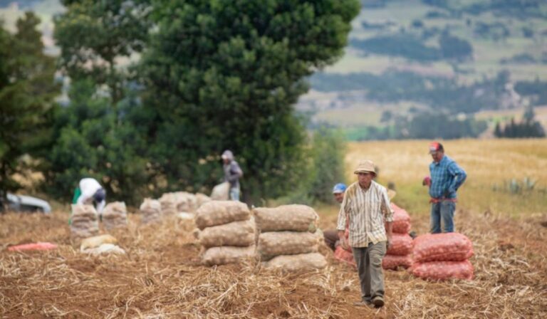 Falta de plata llevó a que 28 de 100 familias redujeran consumo de alimentos en Colombia