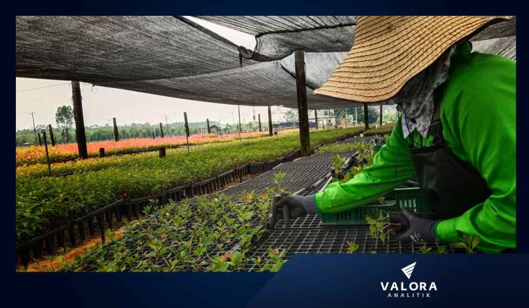 Claves para implementar la inteligencia artificial en el sector agro de Colombia