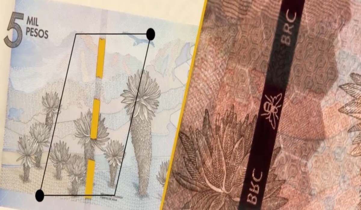 ¿Cómo diferenciar el dinero falso del bueno en Colombia?