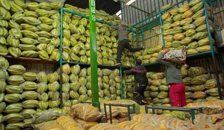 ¡Buenas noticias! Precios de más de 25 alimentos bajarán en Colombia