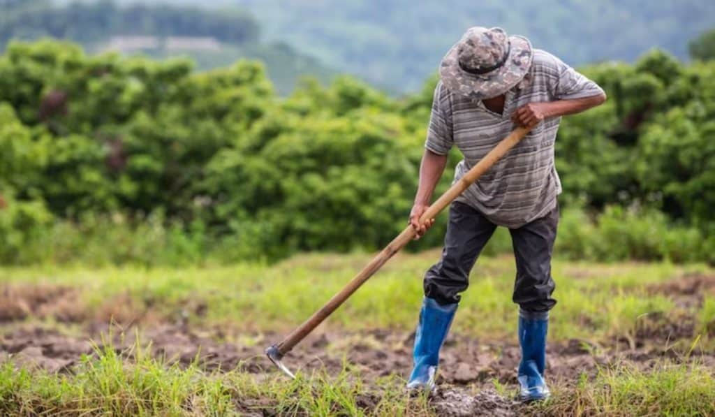 Campesino del Agro en Colombia