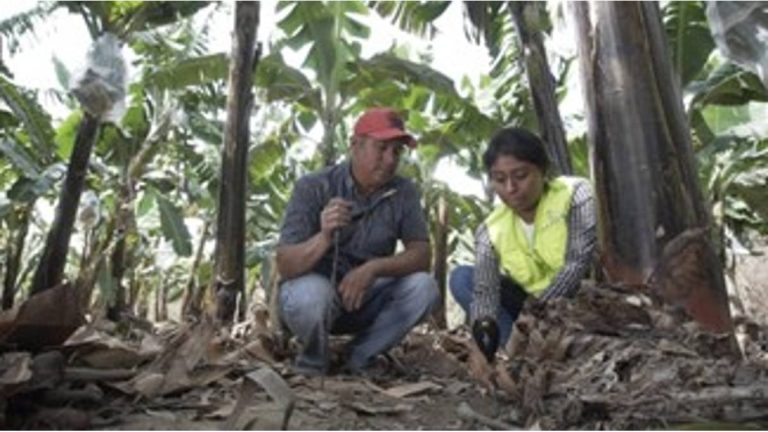 10 proyectos que impulsan la agricultura contarán con respaldo de WFP Colombia