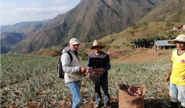 Habrá importante reducción en pago de intereses para productores del agro en Colombia