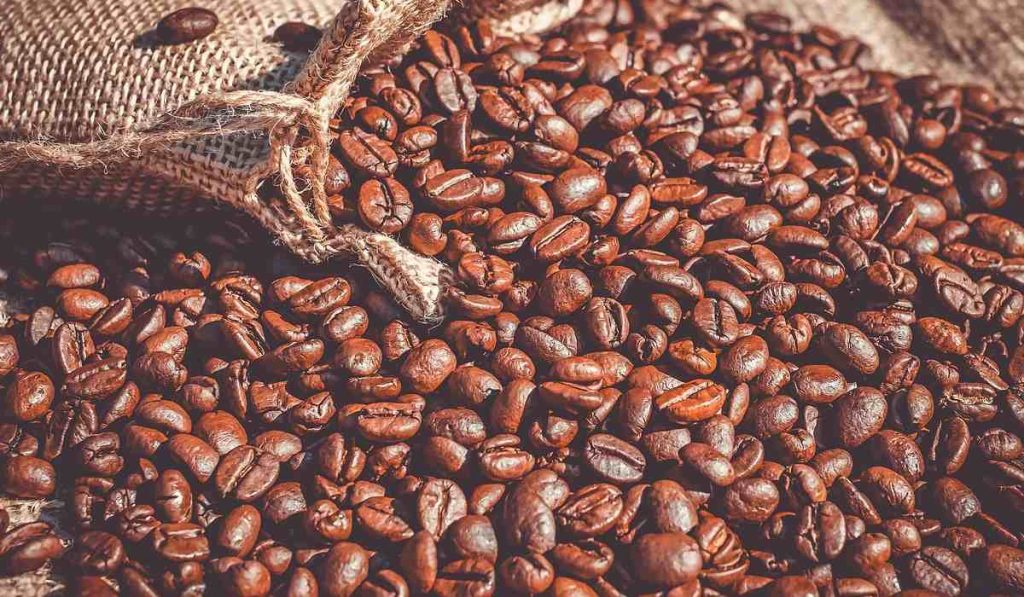 Las exportaciones e importaciones de café cayeron en junio.