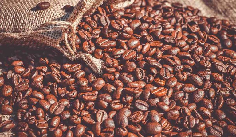 En junio aumentó levemente la producción de café de Colombia