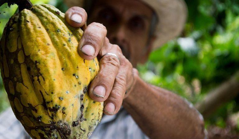 En Colombia, serán entregados 14.000 seguros a pequeños productores