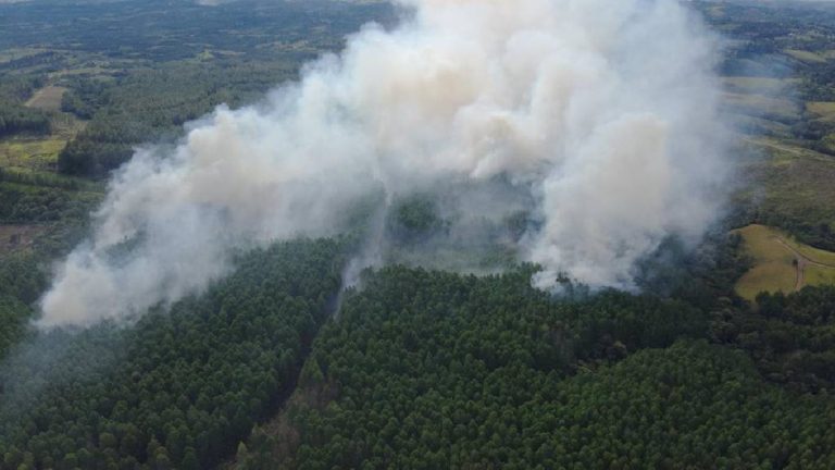 Smurfit Kappa denuncia quema de plantaciones y vehículos en Cauca