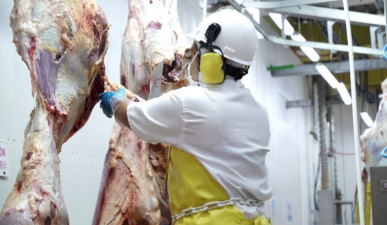 Colombia logra histórica aprobación para exportar carne bovina a China