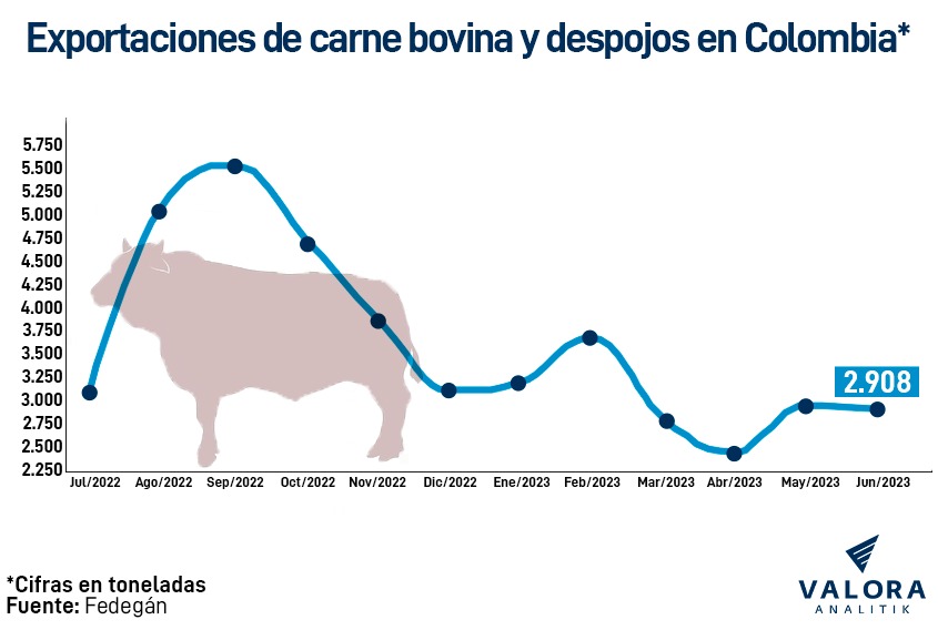 Exportación de carne en Colombia